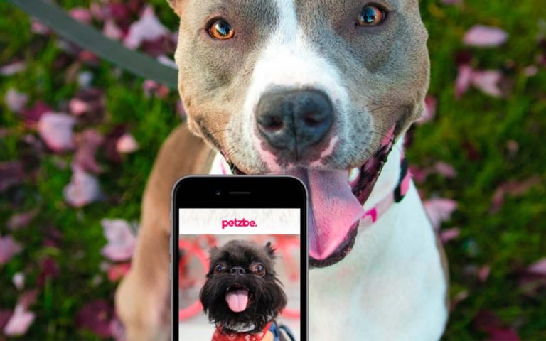 Válido olfatear y lamer en Petzbe